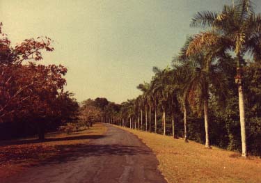 the boss's driveway